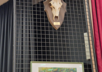 deco 2 st hubert 2026 Les amis de Nicolas Association de trompe de chasse messe saint hubert